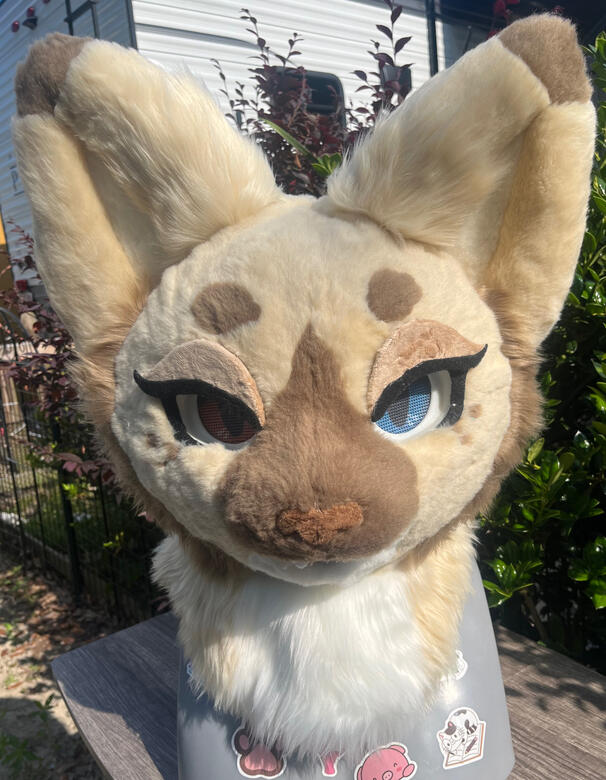 Fursuit Head on 3D Base