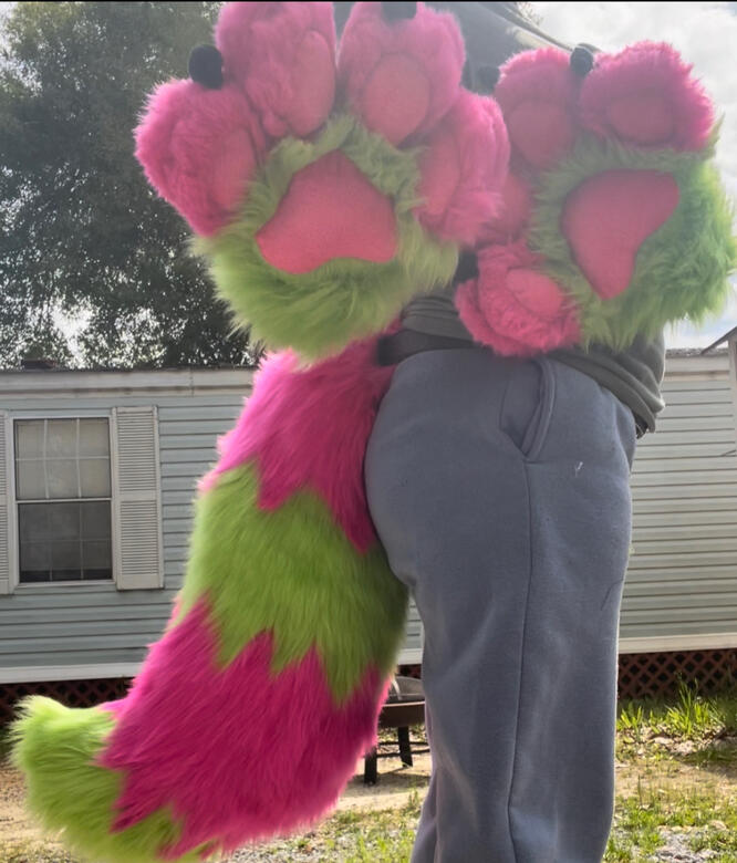 Large Tail and Puffy Paws