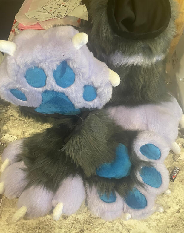 Digi 1.0 and Puffy Paws