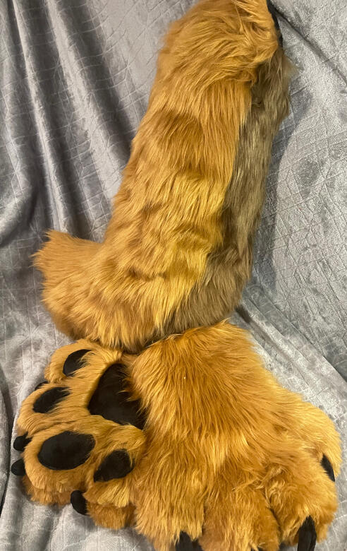 Large Tail and Puffy Paws