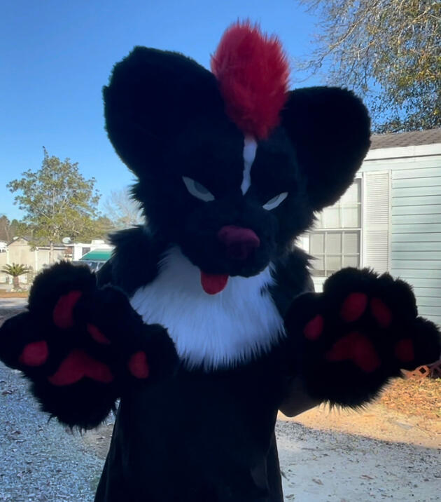 Fursuit Head and Puffy Paws