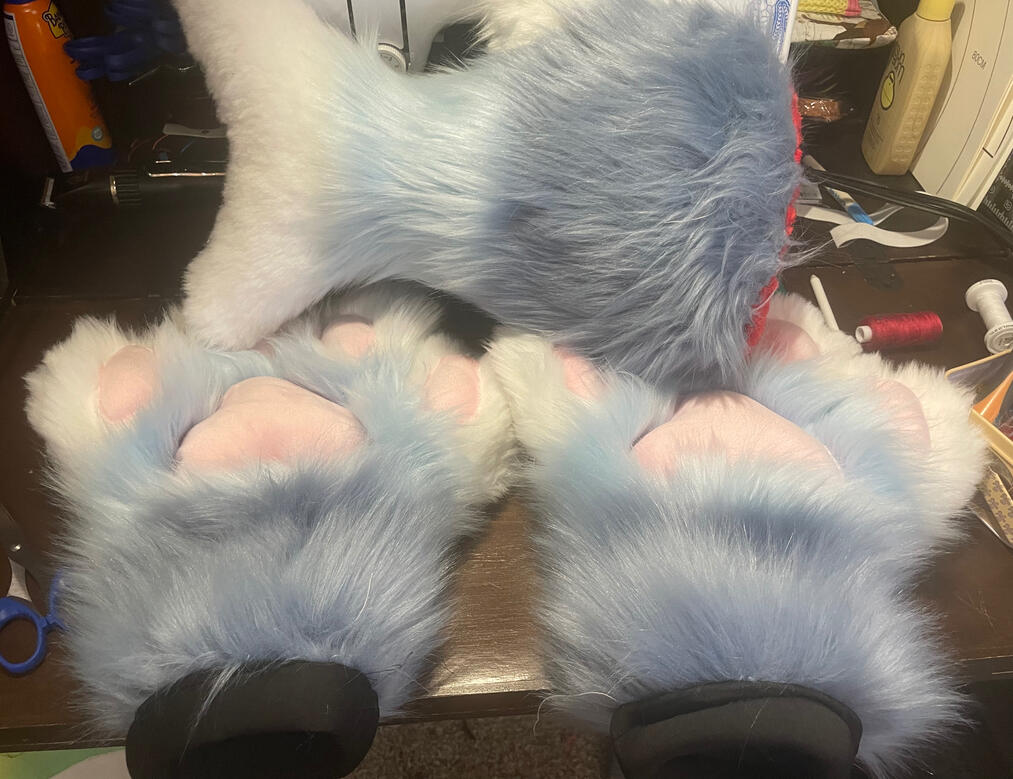 Small Shark Tail and Puffy Paws