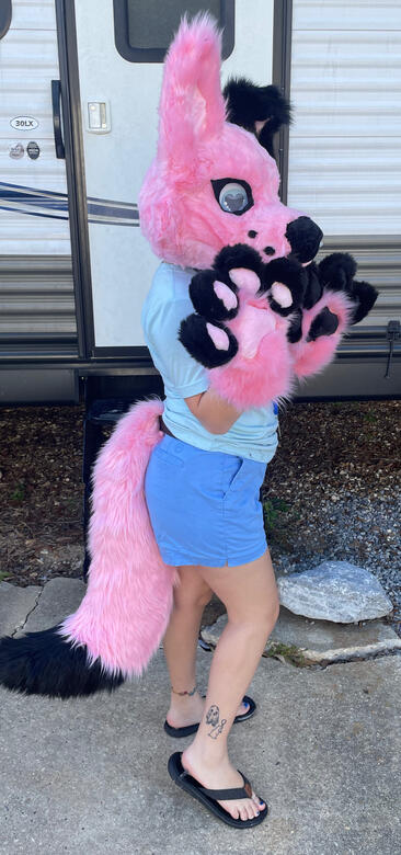 Mini Partial on Foam Base with Large Tail