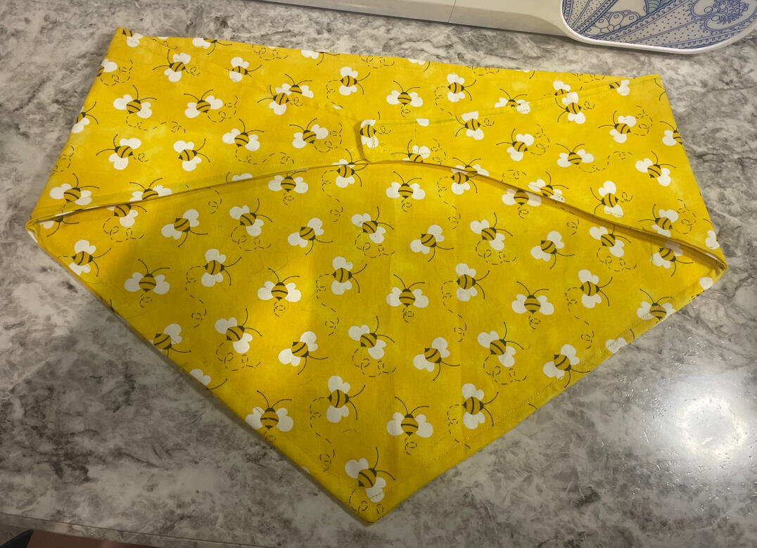 Bandana