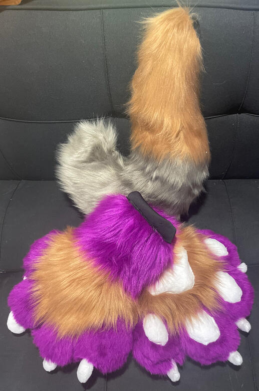 Medium Tail and Puffy Paws
