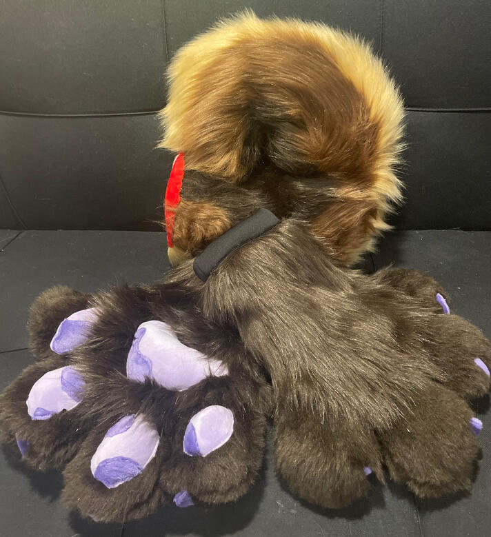 Small Tail and Puffy Paws