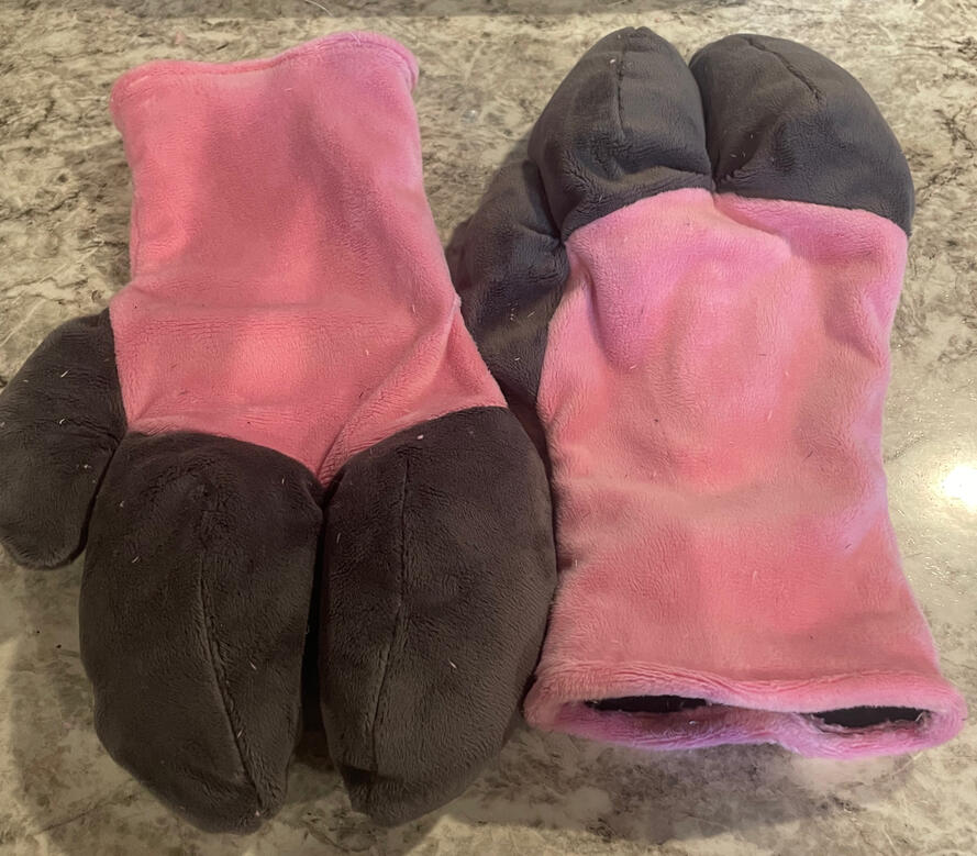 Pig Hooves