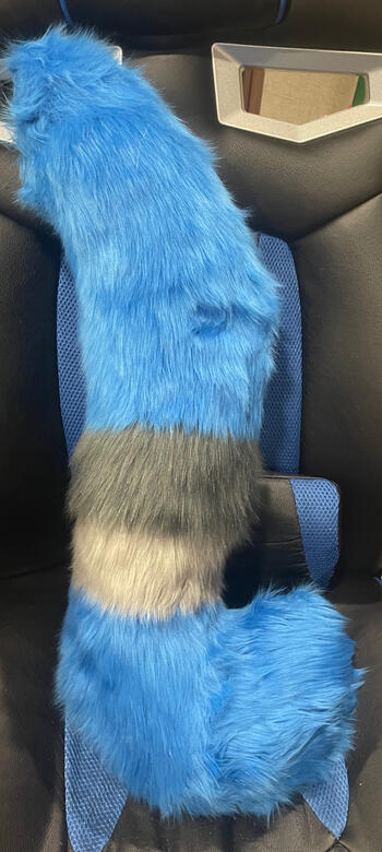 Large Tail