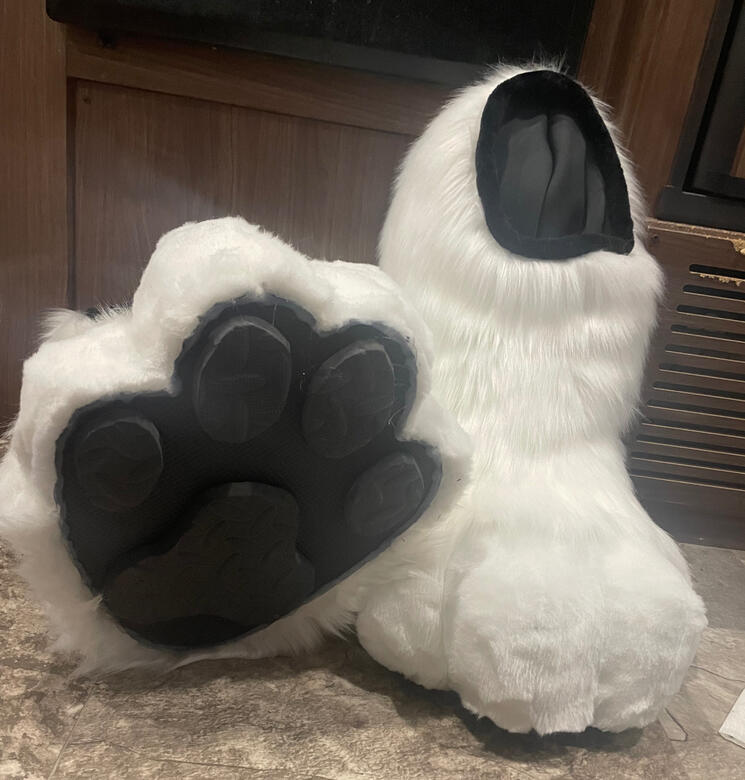 Digi 2.0 Feet