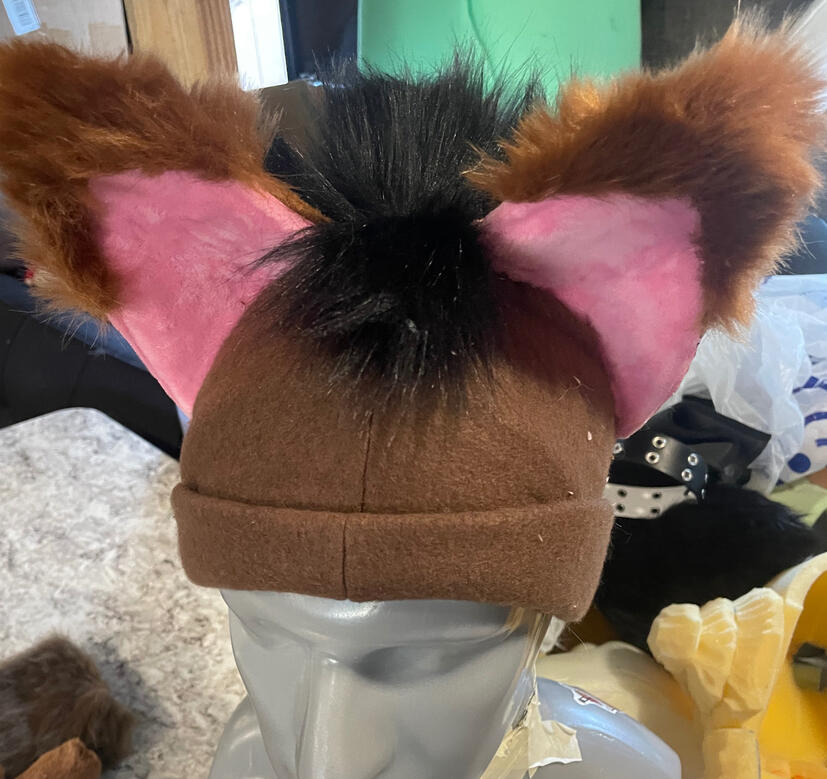 Hat with Ears