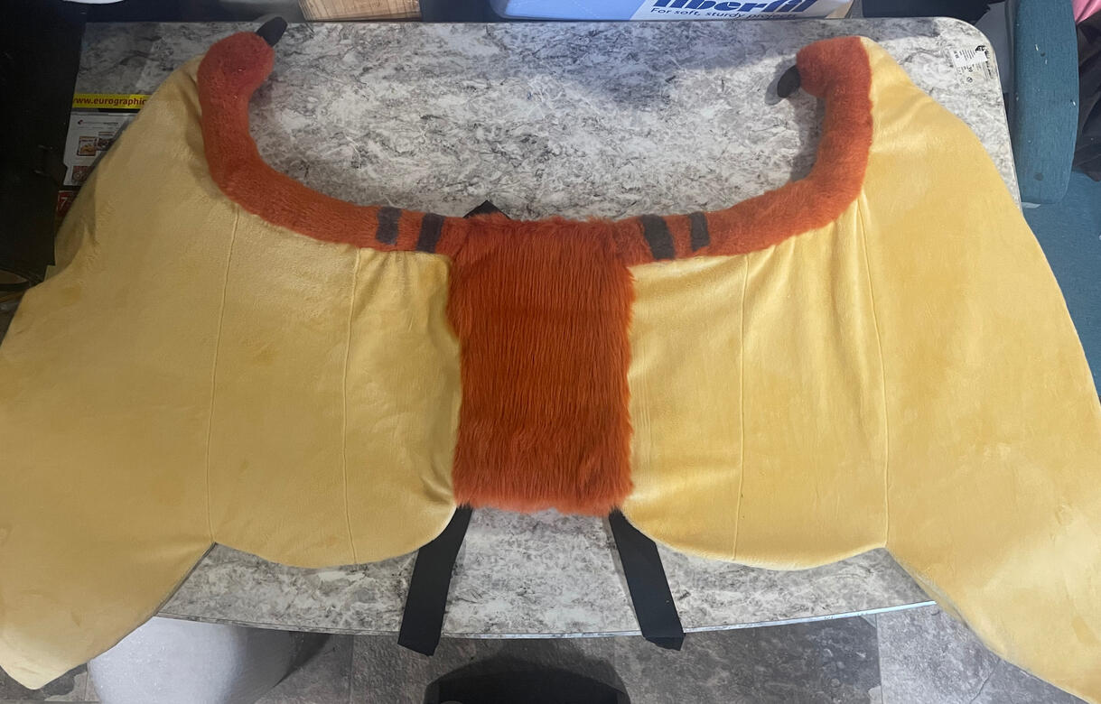 Large Wings 45 Inch Wing Span