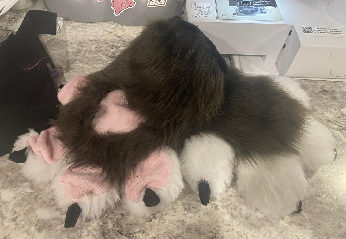 Opossum Paws