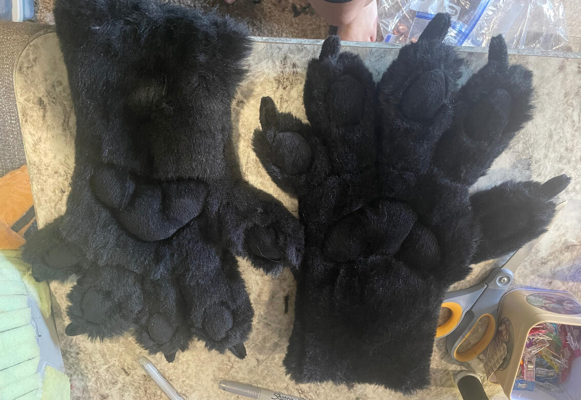 Racoon Paws