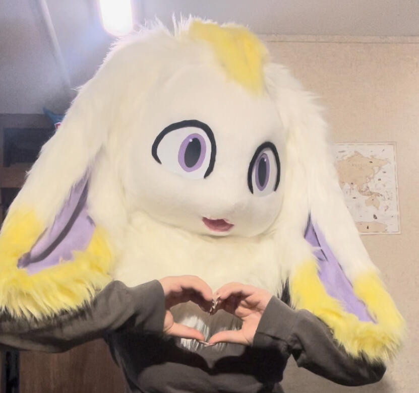 Fleece Face Head with 2D Eyes