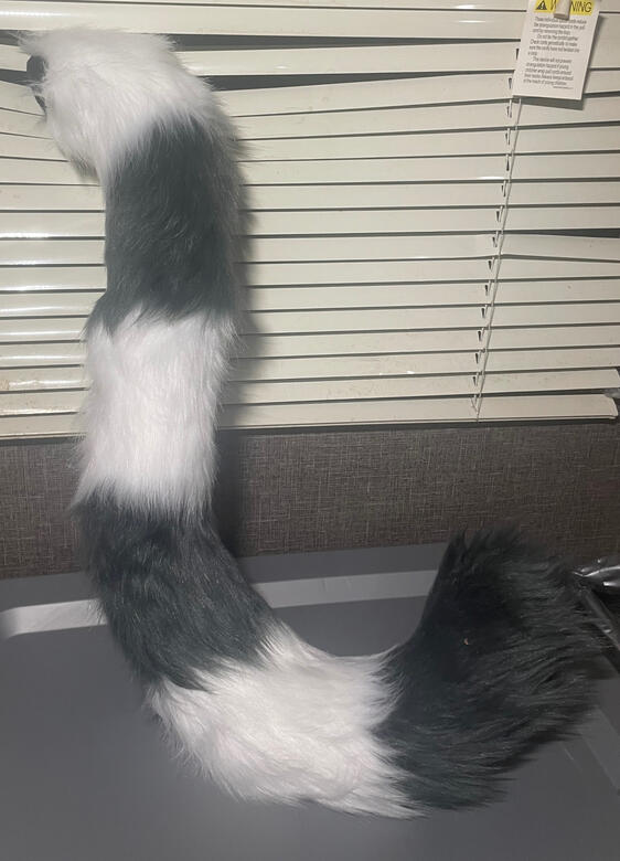 Cat Tail