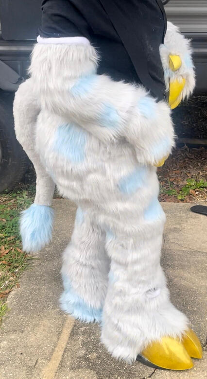 Planti 3/4th Suit Minus Head