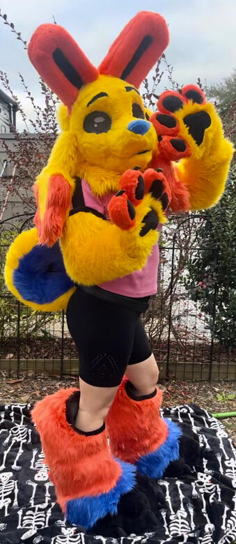 Full Partial