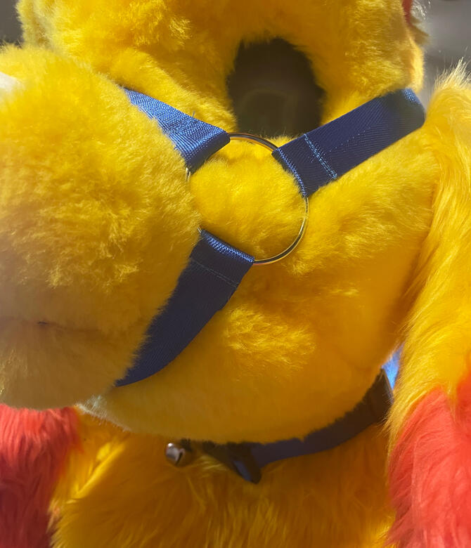 1 Inch Collar and Muzzle Set