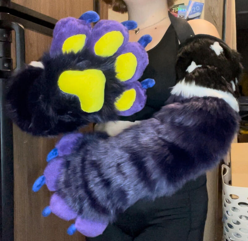 Paw and Sleeves Together