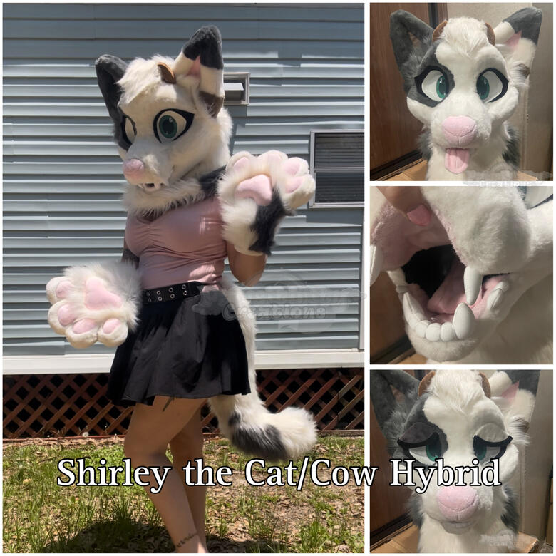 Cow/Cat Mini Partial