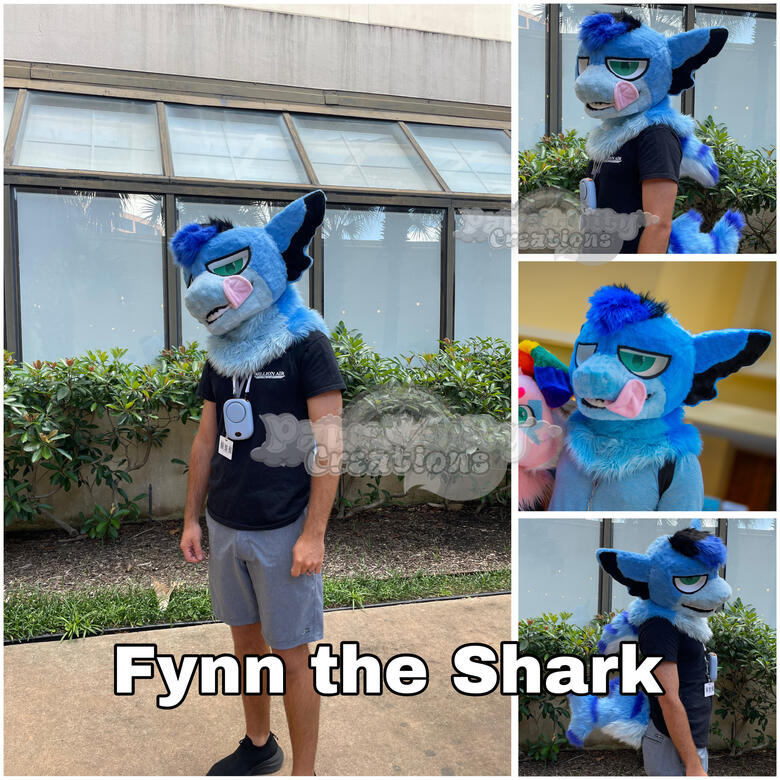 Head, Fin, Small Tail