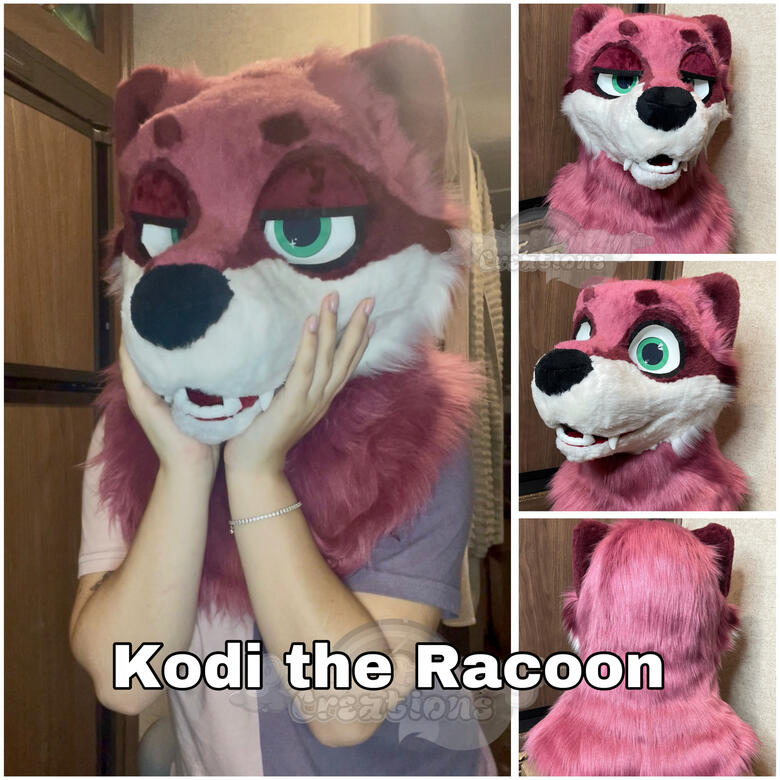 Raccoon Head