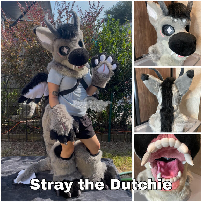 Partial with Medium Wings