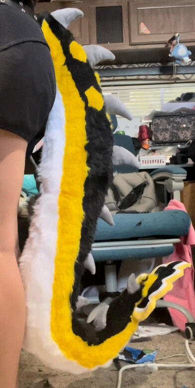 Large Tail