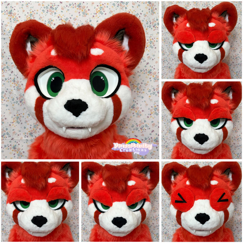 Extra Eyelids
