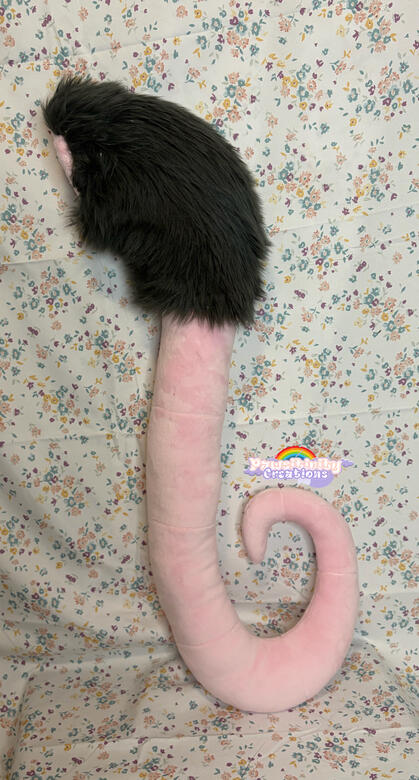 Medium Tail