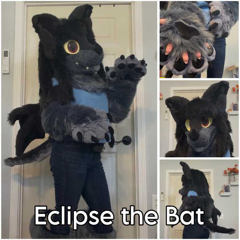 Full Partial