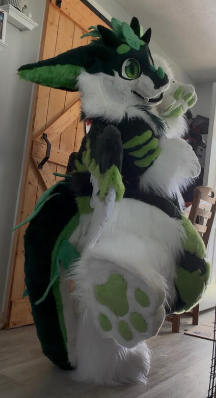 Bodysuit, Feet Paws, Large Wings - HEAD, HANDS AND TAIL NOT MADE BY ME